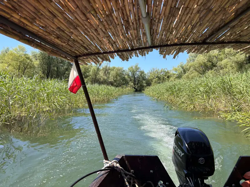 3 Rivers & Lake Jungle